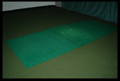 Proturf For indoor Golf